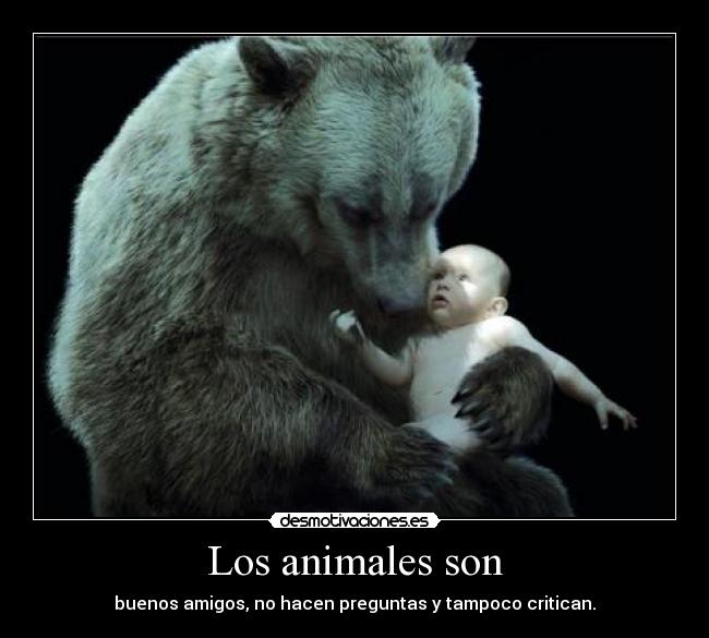 Los animales son - buenos amigos, no hacen preguntas y tampoco critican.