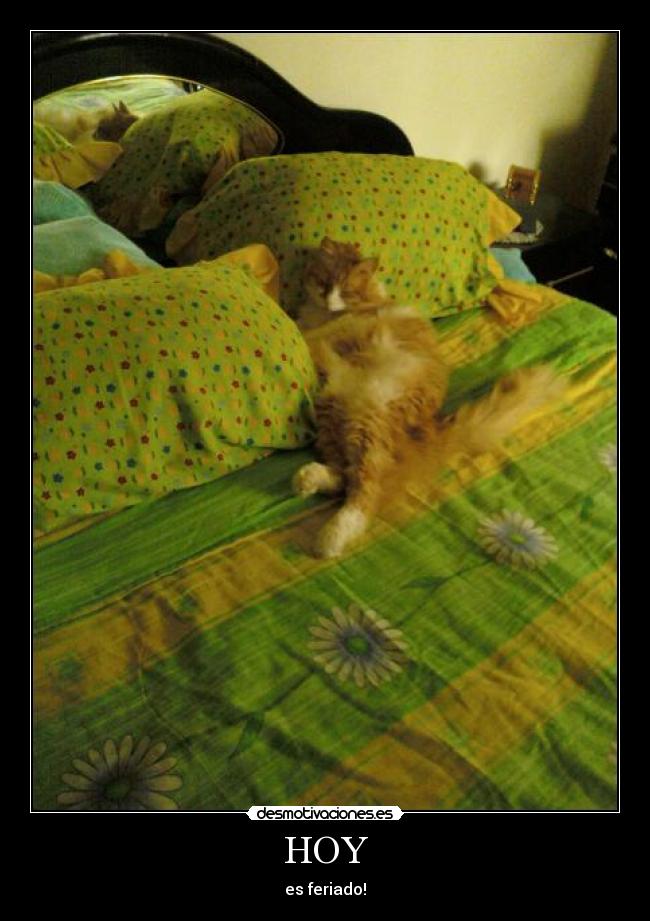 carteles skffbiudhfudskj desmotivaciones