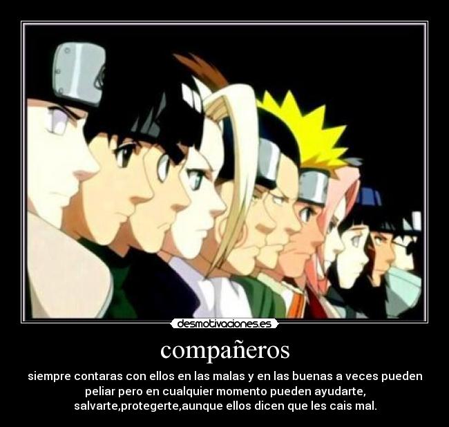 compañeros -