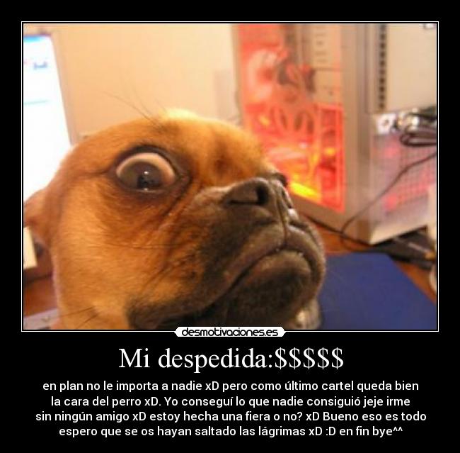 Mi despedida:$$$$$ - en plan no le importa a nadie xD pero como último cartel queda bien
la cara del perro xD. Yo conseguí lo que nadie consiguió jeje irme
sin ningún amigo xD estoy hecha una fiera o no? xD Bueno eso es todo
espero que se os hayan saltado las lágrimas xD :D en fin bye^^