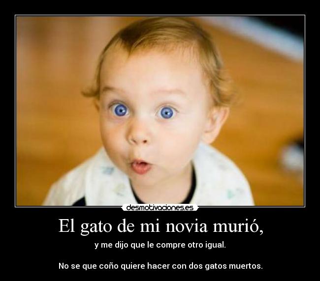 El gato de mi novia murió, - y me dijo que le compre otro igual.
No se que coño quiere hacer con dos gatos muertos.