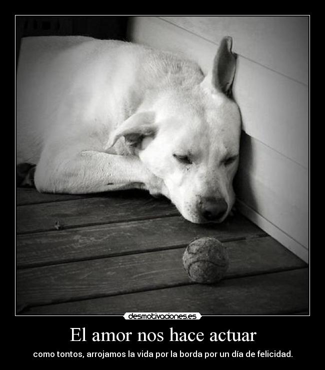 El amor nos hace actuar - como tontos, arrojamos la vida por la borda por un día de felicidad.