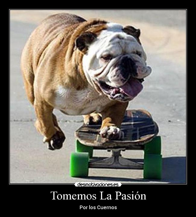 Tomemos La Pasión - Por los Cuernos