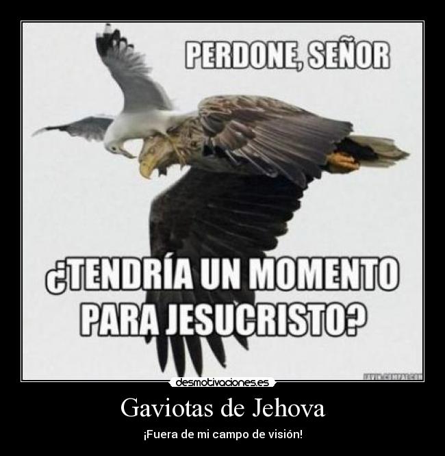 Gaviotas de Jehova - ¡Fuera de mi campo de visión!