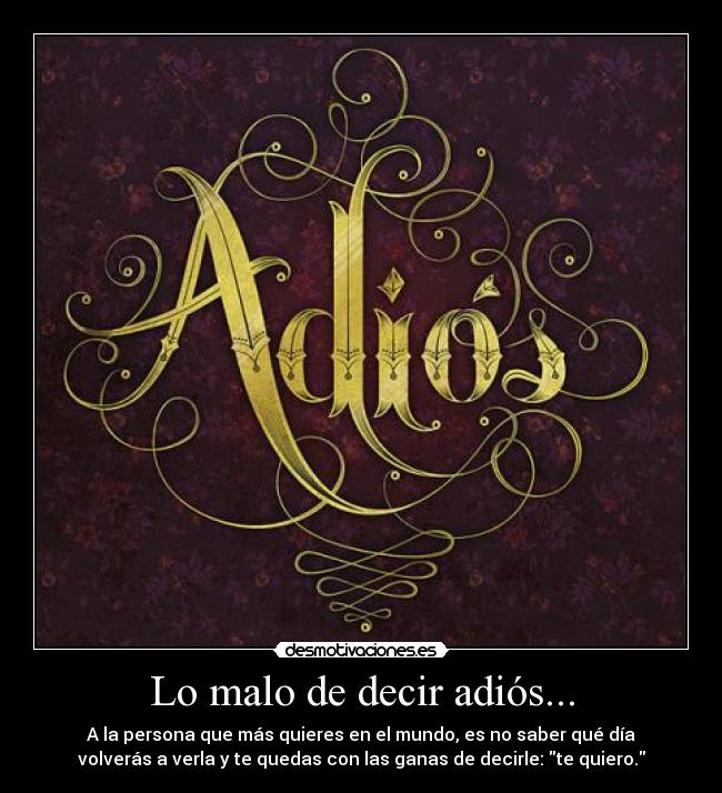 carteles adios quiero desmotivaciones