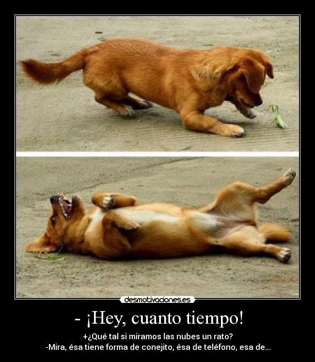 - ¡Hey, cuanto tiempo! -
