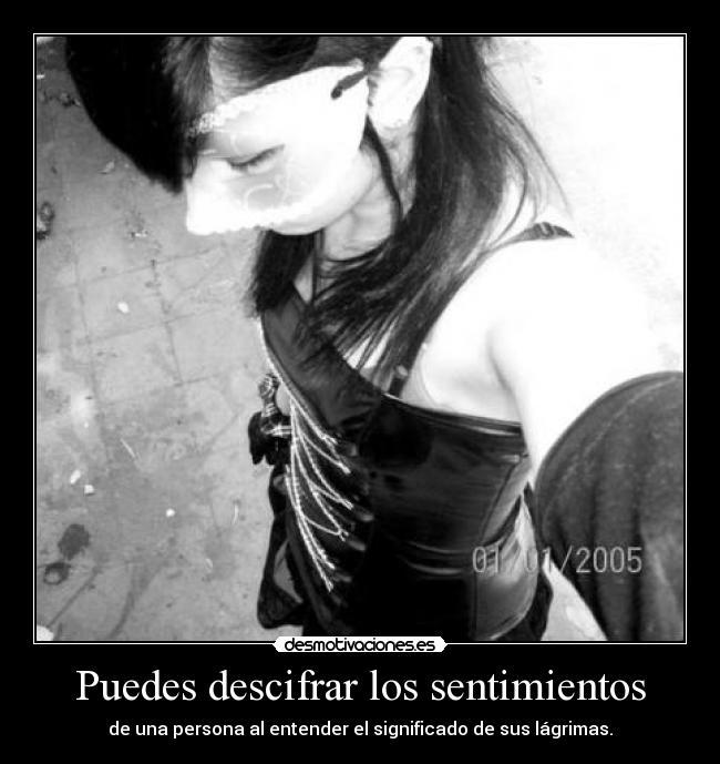 carteles sentimientos lelouch britannia desmotivaciones