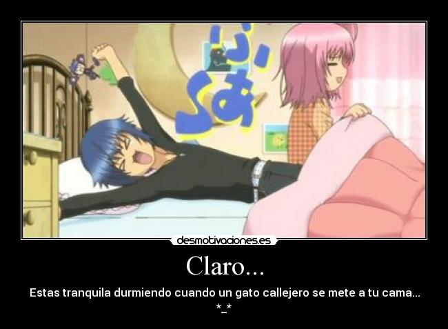 carteles gatocallejero desmotivaciones