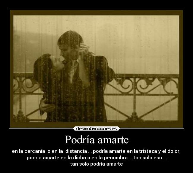 Podría amarte - en la cercanía o en la distancia ... podría amarte en la tristeza y el dolor,
podría amarte en la dicha o en la penumbra ... tan solo eso ...
tan solo podría amarte