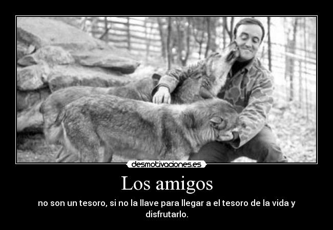 carteles amigos jony94 desmotivaciones