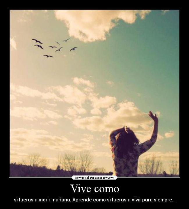 Vive como - 