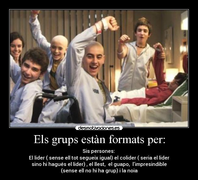Els grups estàn formats per: -