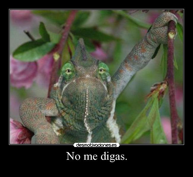 No me digas. - 