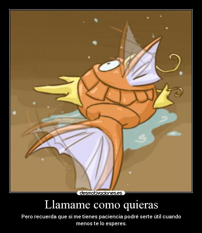 Llamame como quieras - Pero recuerda que si me tienes paciencia podré serte útil cuando menos te lo esperes.