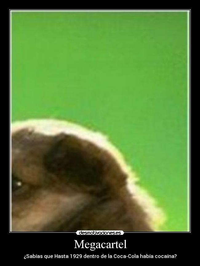 Megacartel - ¿Sabías que Hasta 1929 dentro de la Coca-Cola había cocaína?