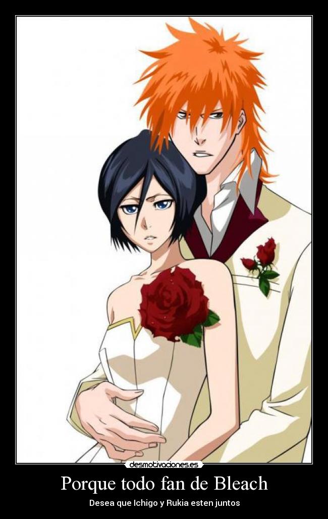 Porque todo fan de Bleach -