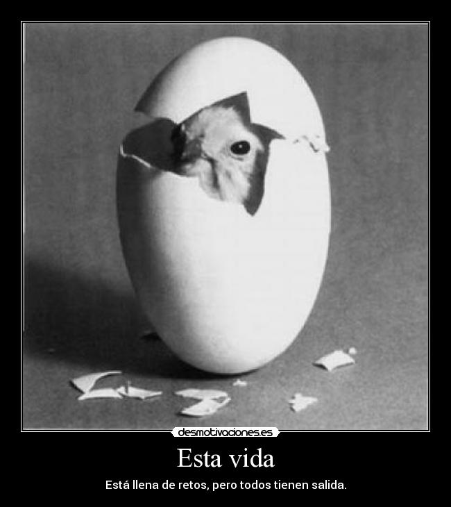 Esta vida - Está llena de retos, pero todos tienen salida.