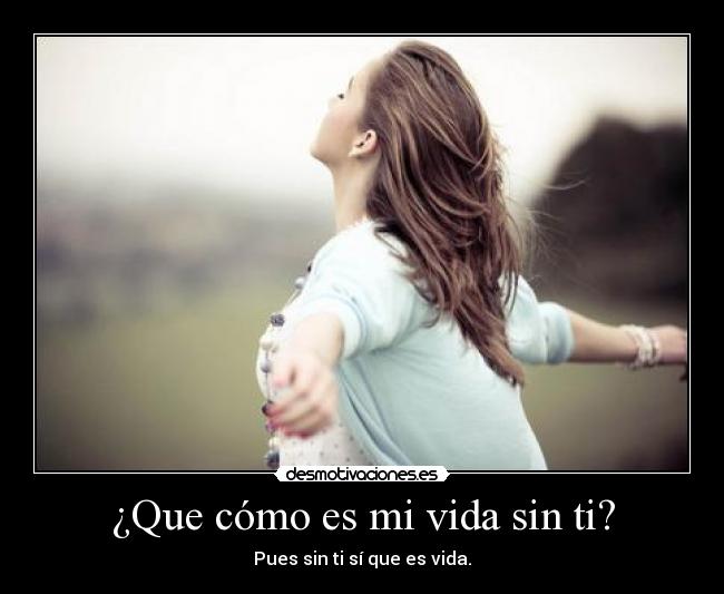 ¿Que cómo es mi vida sin ti? - 
