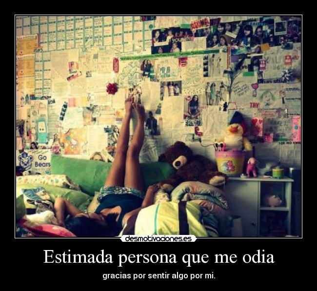 Estimada persona que me odia - 