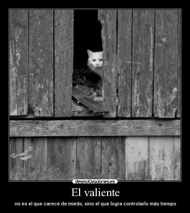 El valiente - no es el que carece de miedo, sino el que logra controlarlo más tiempo