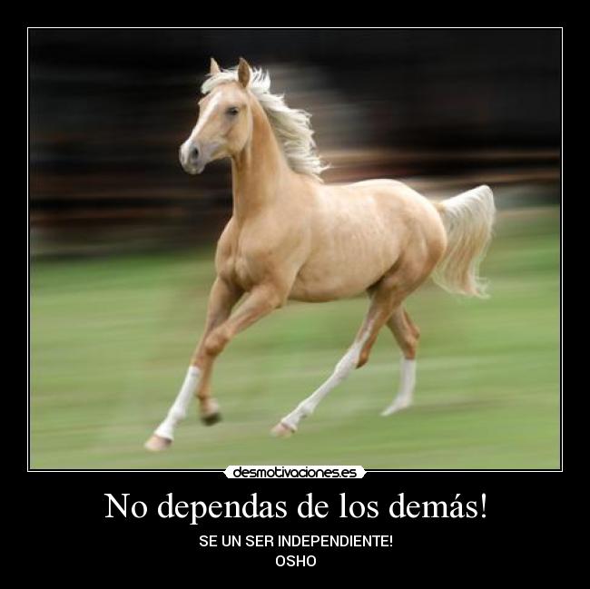 carteles ser desmotivaciones