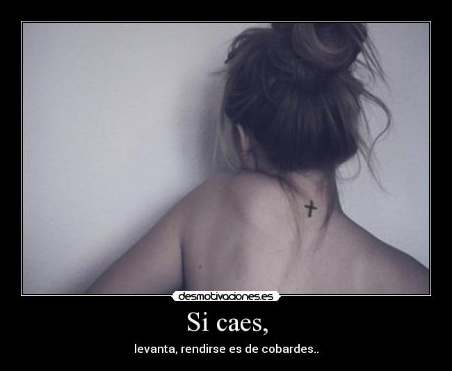 Si caes, -