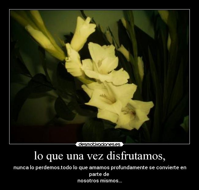 carteles desmotivaciones