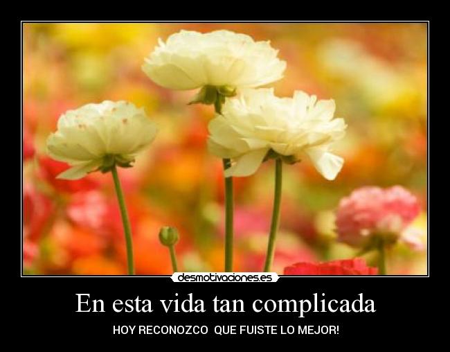 En esta vida tan complicada -