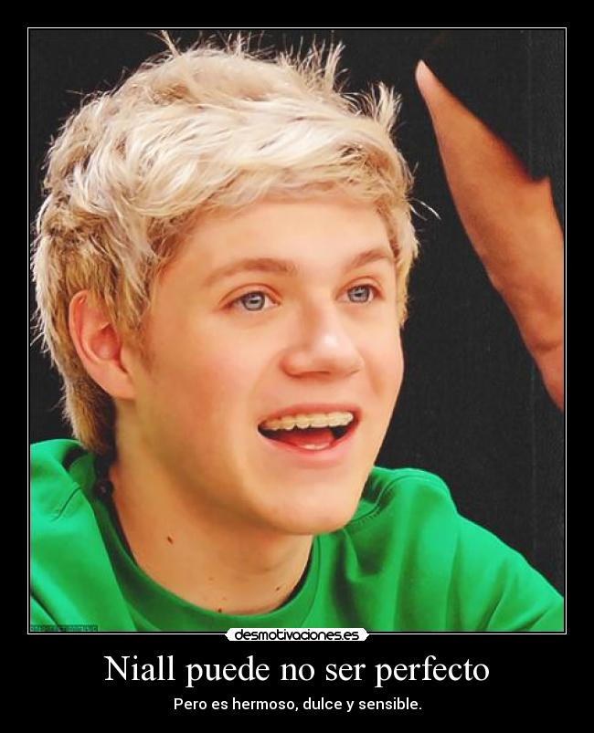 Niall puede no ser perfecto - 