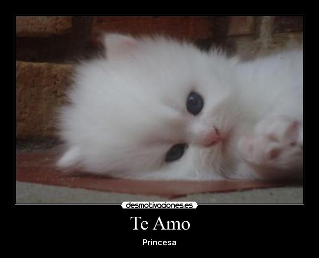 Te Amo - ♥Princesa ♥