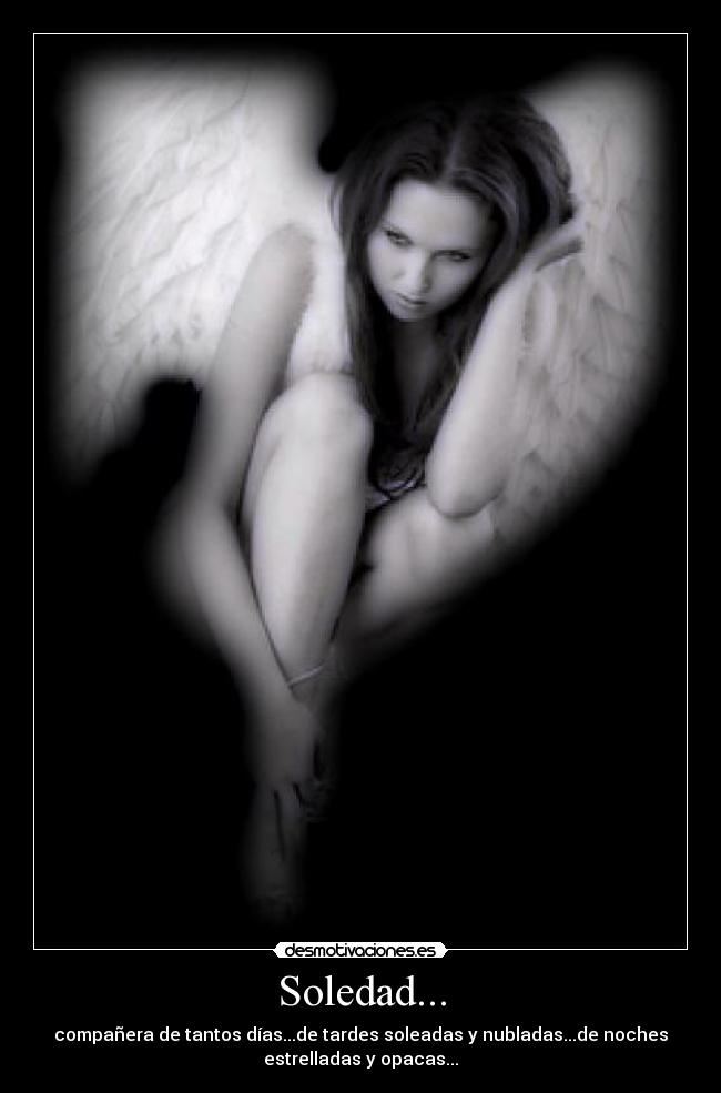 Soledad... - compañera de tantos días...de tardes soleadas y nubladas...de noches
estrelladas y opacas...