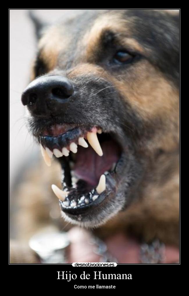 Hijo de Humana - Como me llamaste