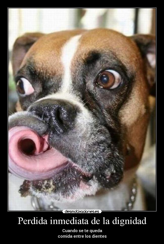 Perdida inmediata de la dignidad - Cuando se te queda
comida entre los dientes