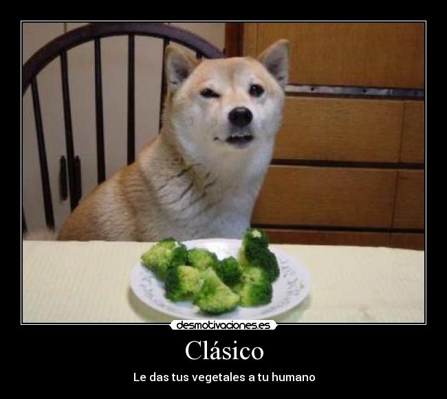 Clásico - Le das tus vegetales a tu humano