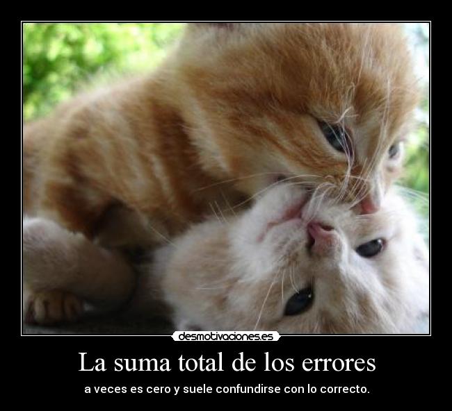 La suma total de los errores - a veces es cero y suele confundirse con lo correcto.