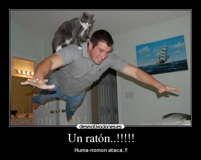 Un ratón..!!!!! - Huma-nomon ataca..!!
