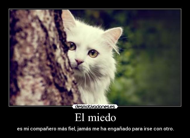 El miedo -