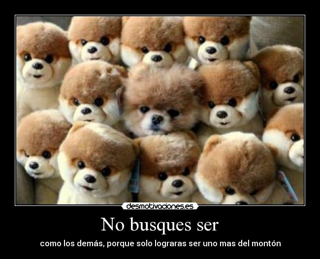 No busques ser -