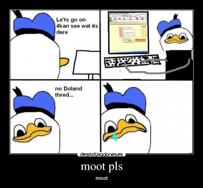 moot pls - moot