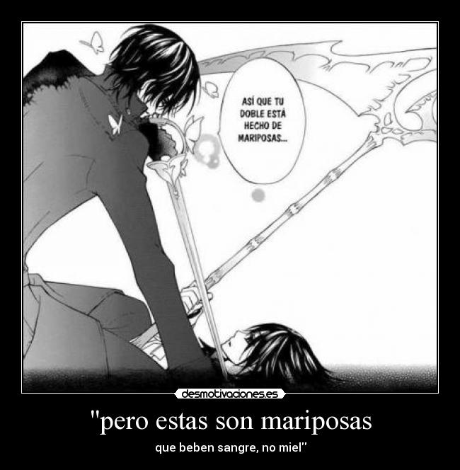 pero estas son mariposas - que beben sangre, no miel