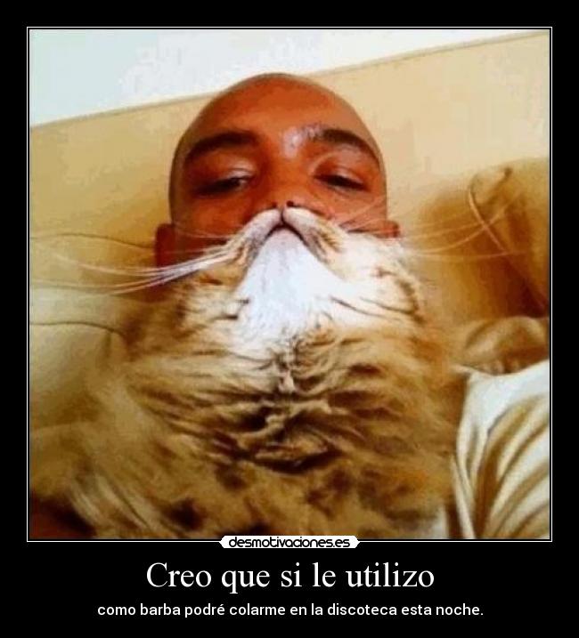 Creo que si le utilizo -