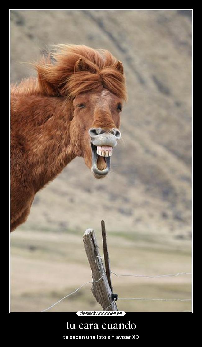 tu cara cuando - te sacan una foto sin avisar XD