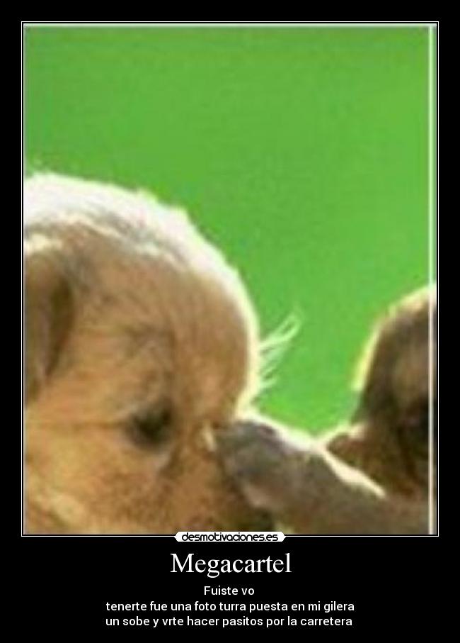 Megacartel - Fuiste vo ♪
tenerte fue una foto turra puesta en mi gilera♪
un sobe y vrte hacer pasitos por la carretera ♪