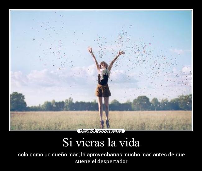 Si vieras la vida -