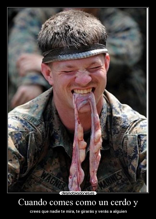 carteles cuando comes como cerdo desmotivaciones