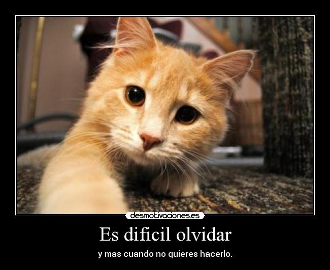 carteles olvidar dificil desmotivaciones