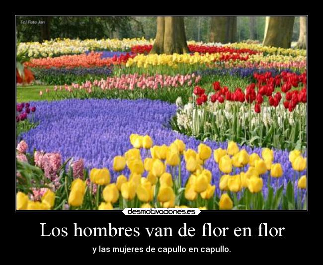 Los hombres van de flor en flor -