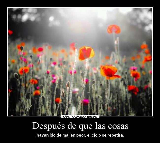 Después de que las cosas - 
