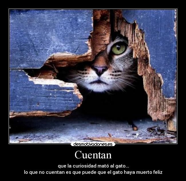 Cuentan - que la curiosidad mató al gato...
lo que no cuentan es que puede que el gato haya muerto feliz