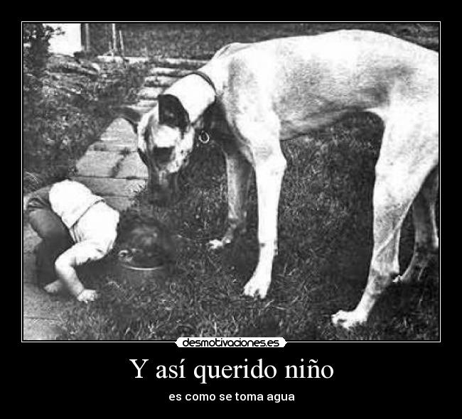 Y así querido niño -